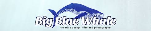 Big Blue Whale Corporate ID/ Brand Design